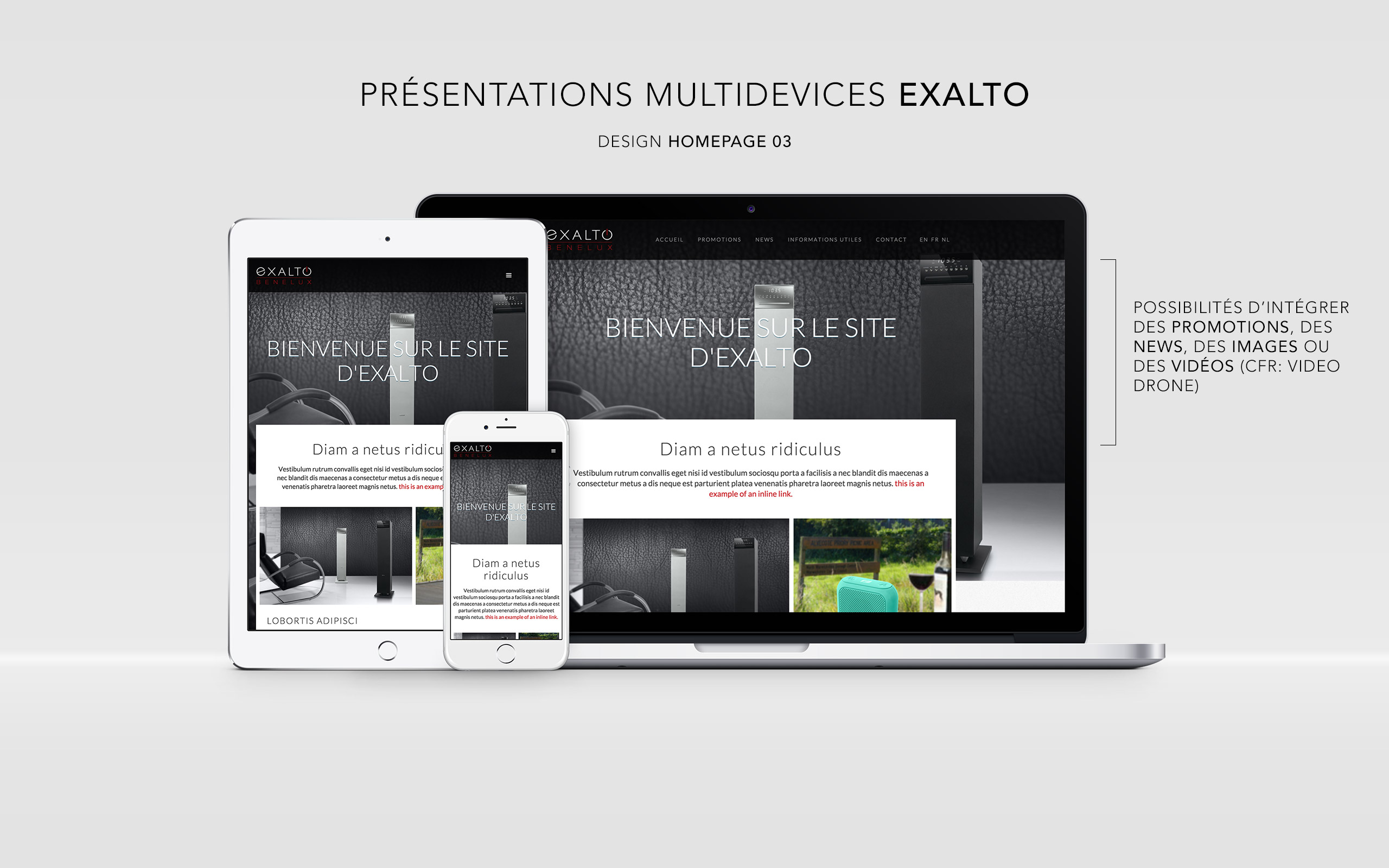Exalto website – Design du site en webflow et développement React NodeJS – Distributeur multimédia